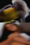 Swinging couples sex Dothan